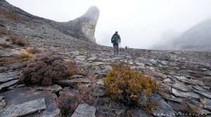 The Journey ot the Western Plateau       